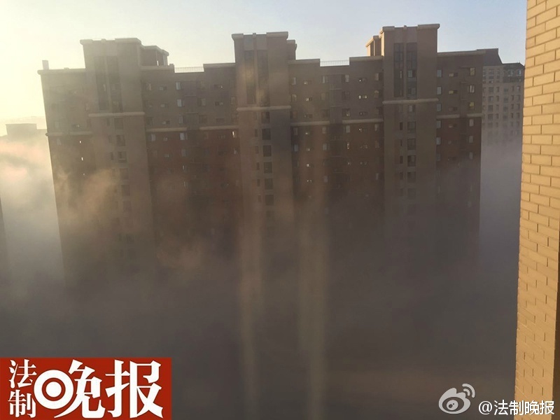 图为网友分享浓雾照片。