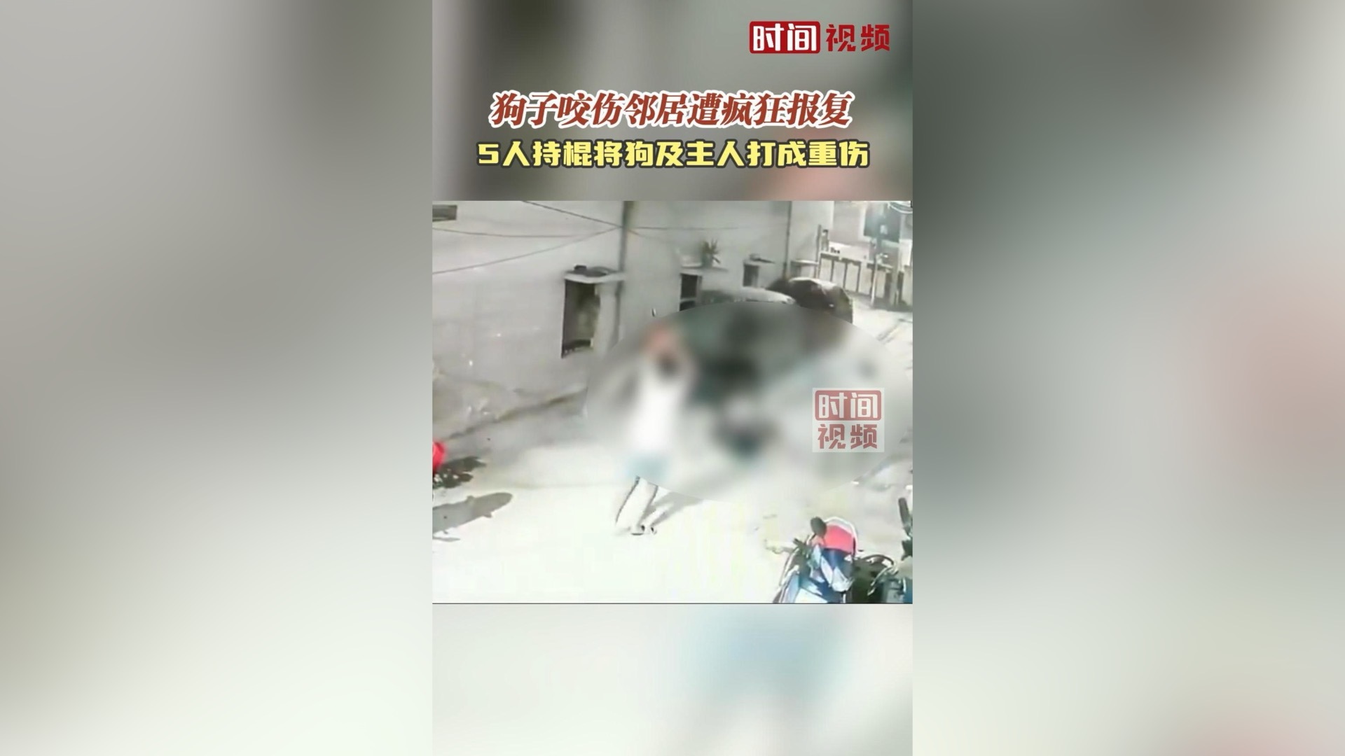 狗咬人引发的血案 印度5人持棍将狗及主人打成重伤 狗咬人引发的血案 印度5人持棍将狗及主人打成重伤