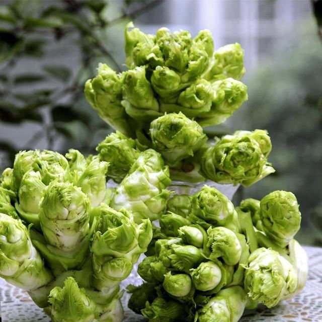 那些好吃确不常见的蔬菜2儿儿菜\/娃娃菜