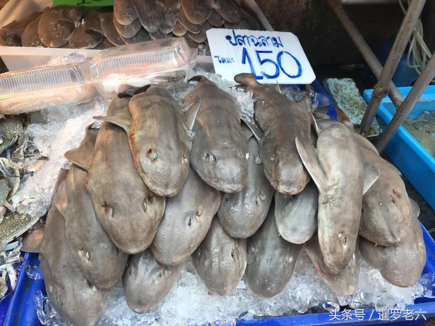 都说泰国海鲜便宜!您看看这些海产品的价格,也