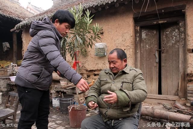 农村人常说一表三千里,一堂五百年,农村这么