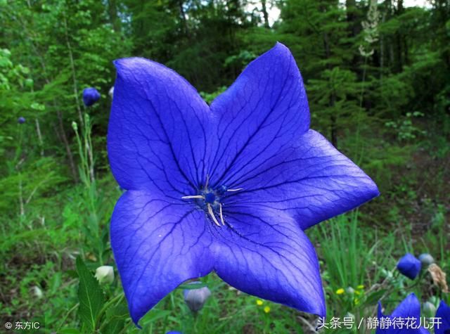 努力了,珍惜了,其他的就交给命运吧!