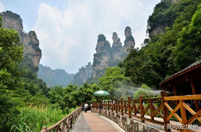 天津坐飞机到张家界,包导游(线路攻略)