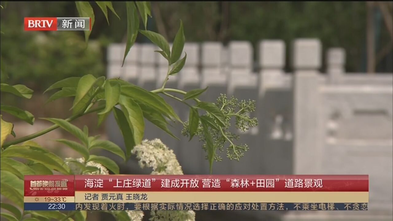 海淀“上庄绿道”建成开放 营造“森林+田园”道路景观