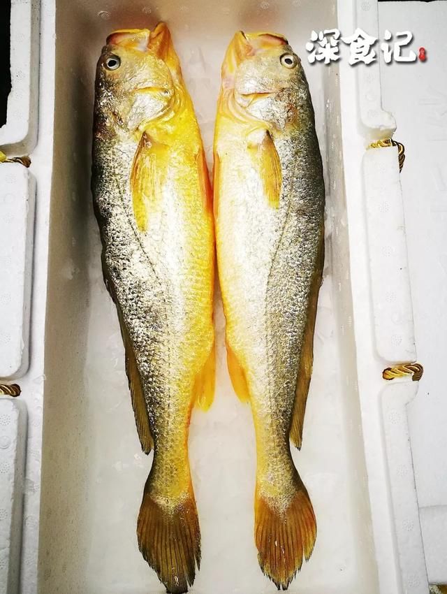 一夜售罄的大师级温州鱼饼满6送6!