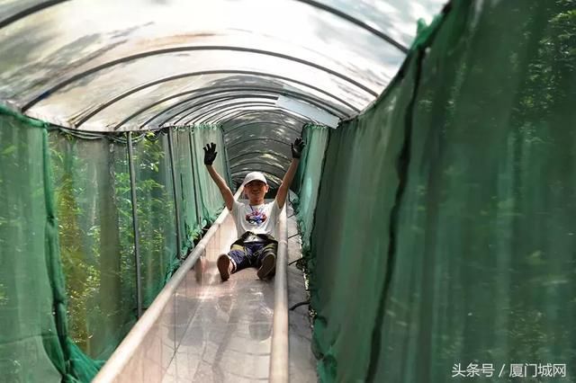 假期结束了,厦门这些地方仍然值得你一去再去