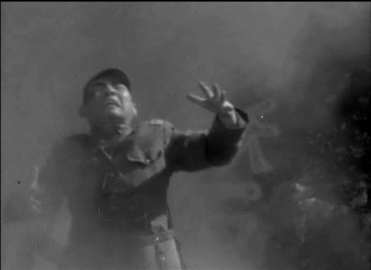 日军为对付地雷阵，搬来工兵攻入赵家庄大肆烧杀抢掠，民兵们及时总结经验、吸取教训，不断改进制雷技术和布雷方法，使得日军防不胜防。进入麦收季节，日军本想趁民兵抢收麦子时一举拿下赵家庄，不想民兵早已设下了布局更为精妙的地雷阵。
龟田老鬼子被炸死真是大快人心~