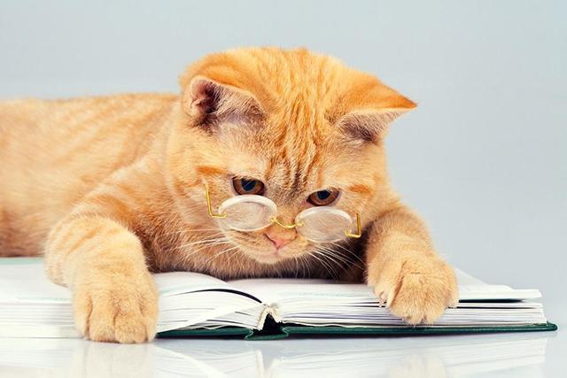 看新闻可得零花钱,信息找人的时代已经来临!