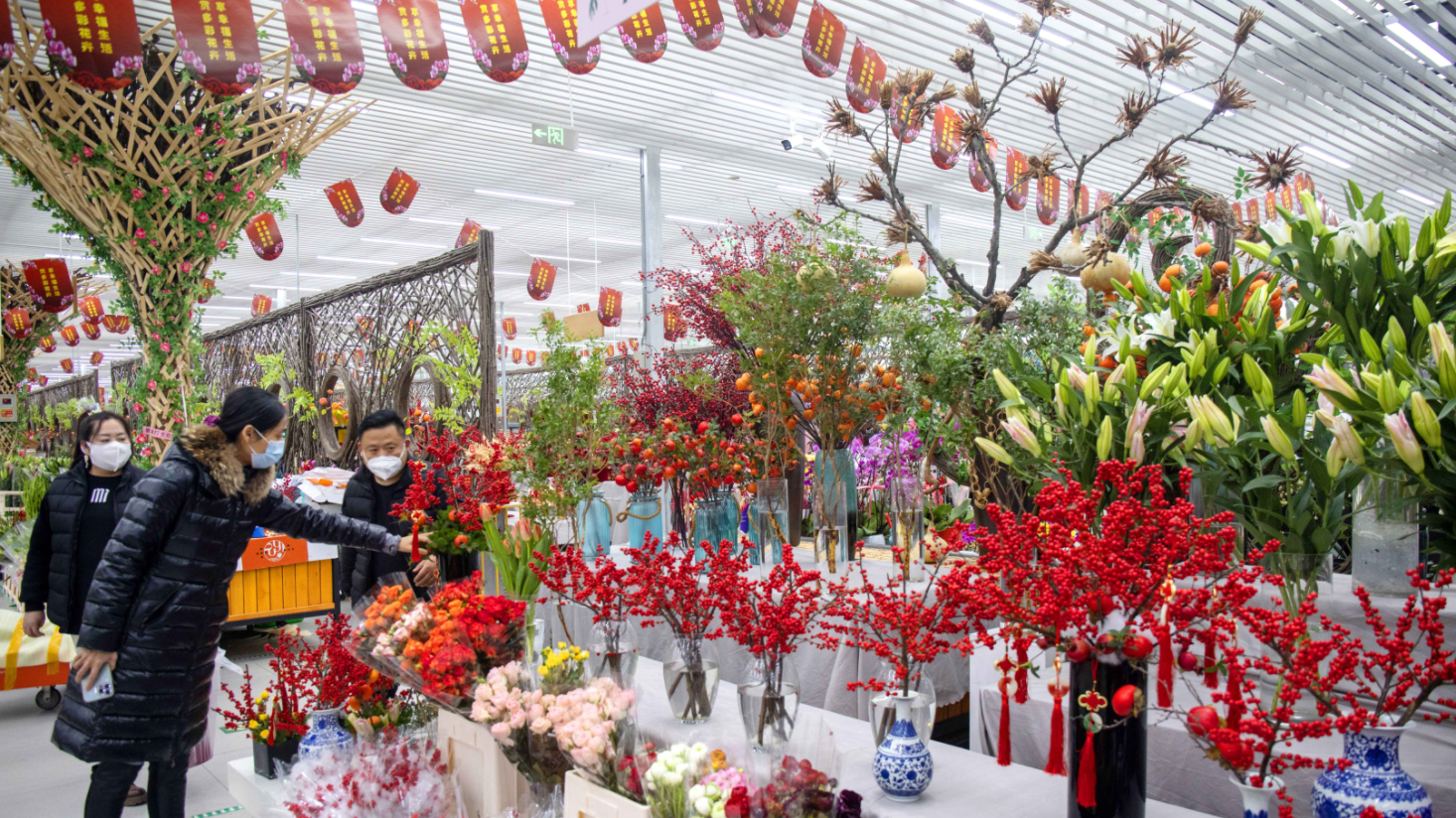 5万人次逛花展!京城年宵花消费活力释放,销量增三成 5万人次逛花展!京城年宵花消费活力释放,销量增三成