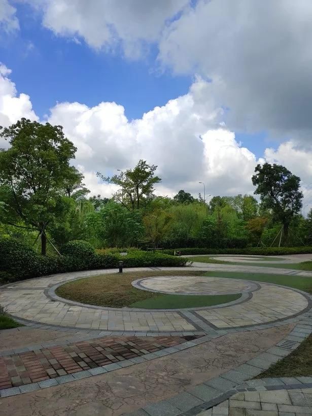 坚果PRO2S 相机样张实拍对比小米8SE、坚果PRO2