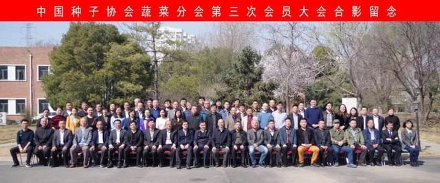 大咖集结!许勇再次当选会长,中国种子协会蔬菜