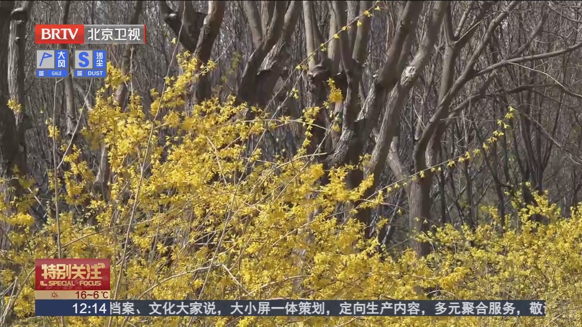 大风沙尘蓝色预警中 市民出行注意安全 北京时间