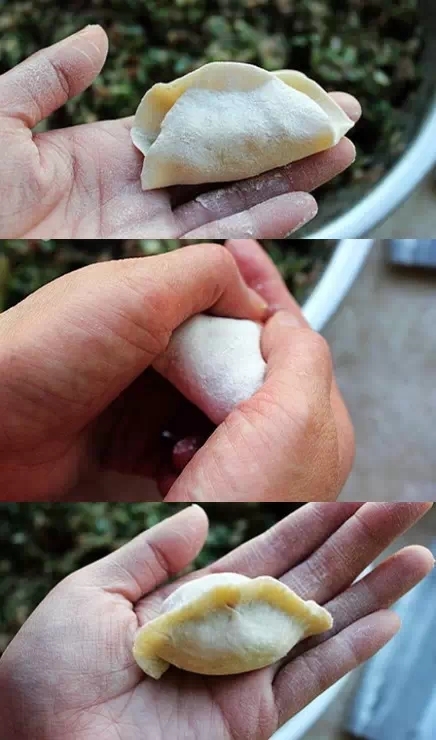 最全饺子包法图解大全!过年来点新花样