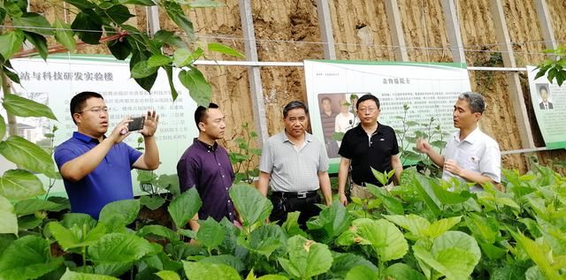 京东集团到我市对接京东农场项目