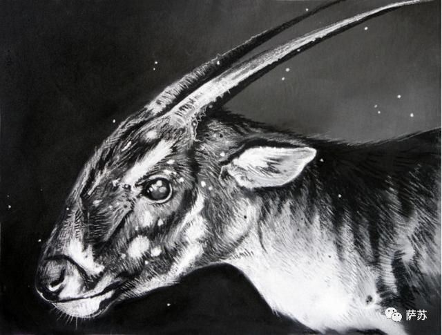 山西兽或者萨摩麟会不会也有少量后代一直活到了孔子和司马迁的时代呢