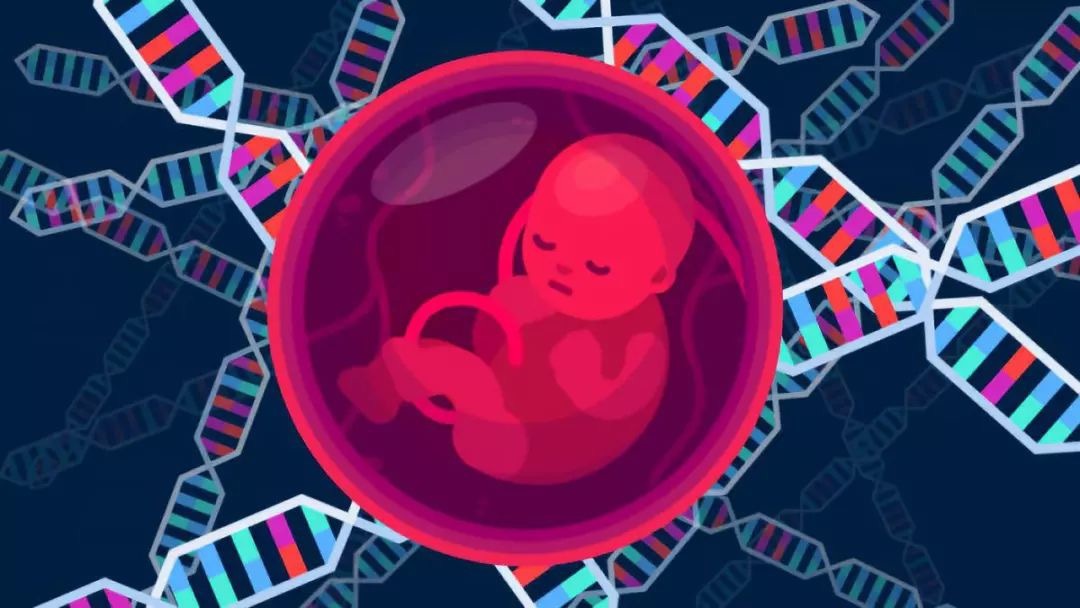 方舟子:“基因编辑婴儿”不人道、反人类 但世界不会因此产生灾难 方舟子:“基因编辑婴儿”不人道、反人类 但世界不会因此产生灾难