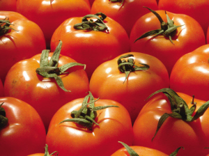 转基因食品有毒吗 国家检测机构回应