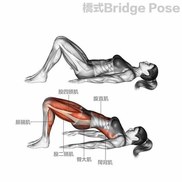 收藏: 7个瑜伽专业图解, 健身练瑜伽的人可以用