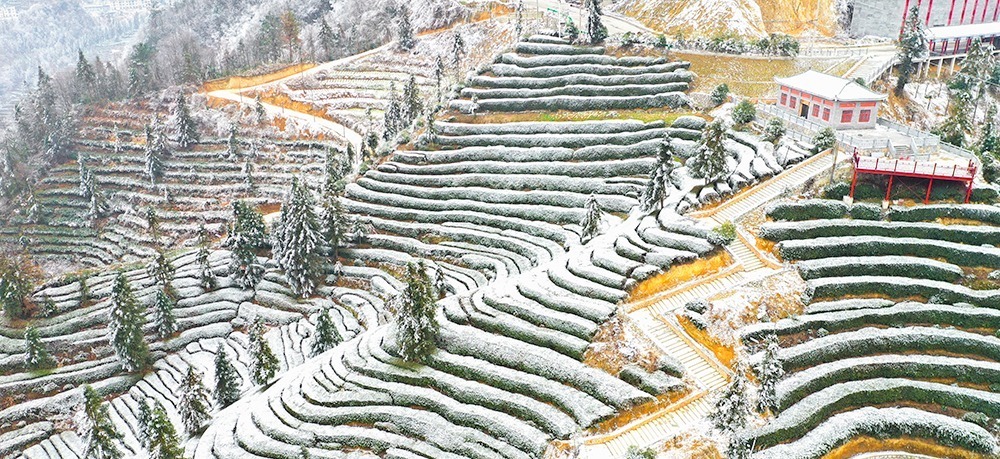 图为航拍湖北宜昌雪后的茶园。