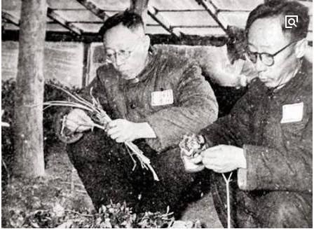 溥仪去办理户籍,文化程度填初中!工作人员:你不