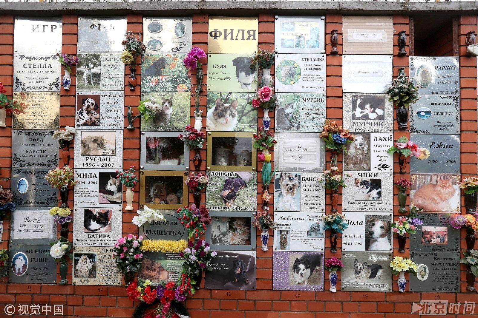 缅怀"家庭至亲" 俄罗斯宠物墓地颇受欢迎
