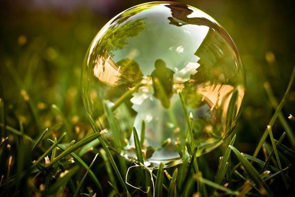 历史上的三大灾难性泡沫上篇--一朵小花搞垮一