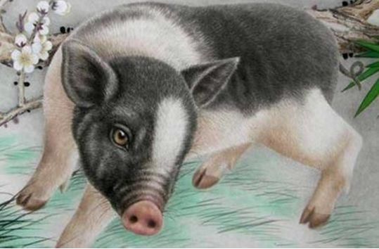 恭喜!4生肖下半年运势上上签,财运亨通,迟早飞