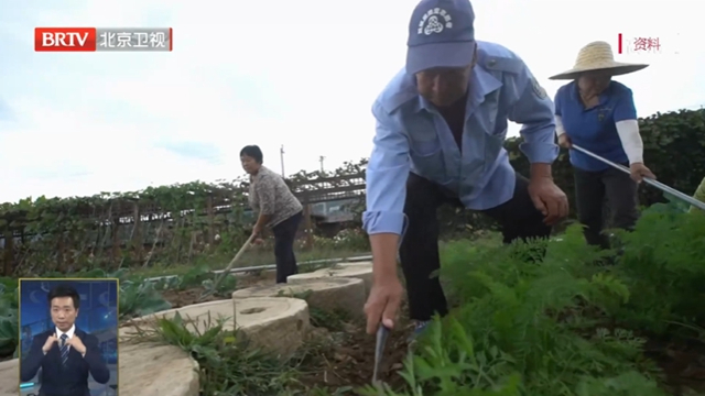 社会救助将“一网通办”“全城通办” 社会救助将“一网通办”“全城通办”