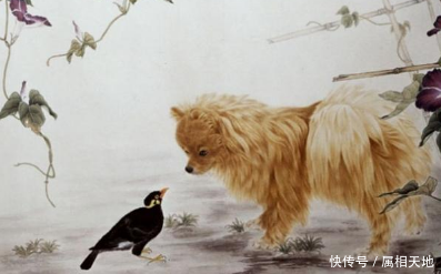 算命的说:明天开始,这几大生肖将会越来越顺,一