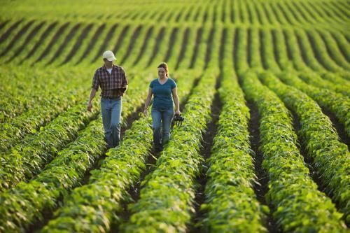 干旱天气CBOT大豆大涨,阿根廷卡车司机罢工结
