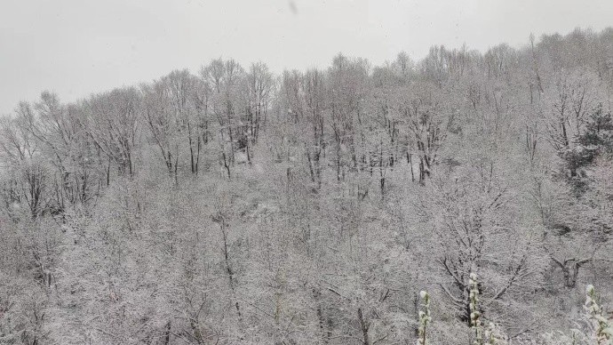 真·淬火式降温！多地出现降雪，山西猛降近30℃，积雪纪录被打破！