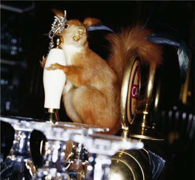 世界上度数最高的啤酒,用整只松鼠包装,一瓶五