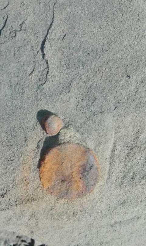 人类文明纪元史, 地球已经有N亿年了, 出现过多