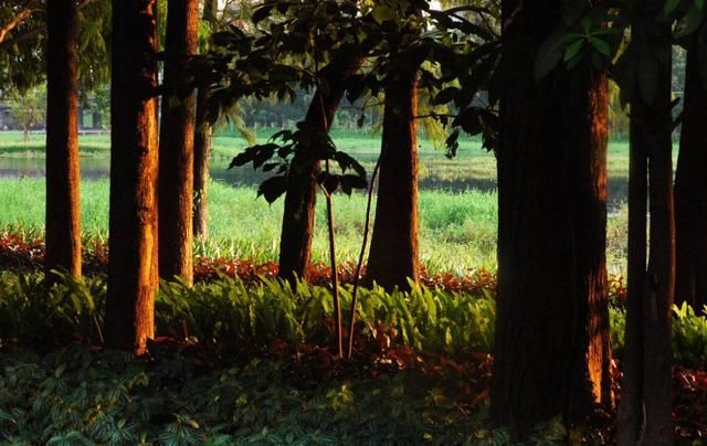 技术文章!如何运用周线判断股票走势