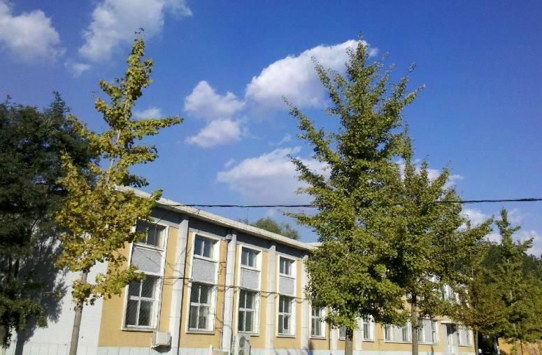 北京录取分数线最低的三所公办本科大学,你喜