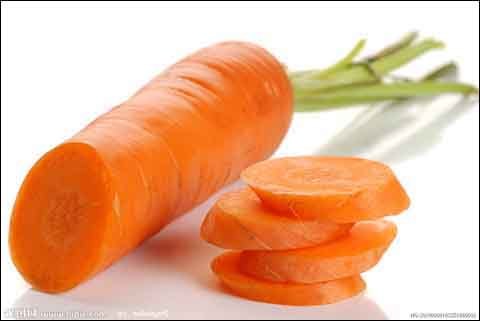 大暑农事:胡萝卜种植要求 大暑农事:胡萝卜种植要求