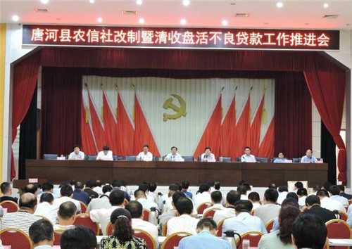 唐河县召开农信社改制暨清收盘活不良贷款工作推进会