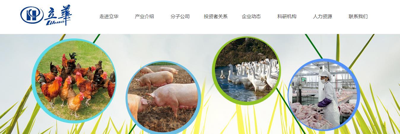 养殖企业立华股份募资逾12亿,毛利率超行业龙