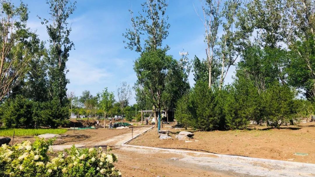 好消息!奥北森林公园一期主体完工,预计10月开园 好消息!奥北森林公园一期主体完工,预计10月开园
