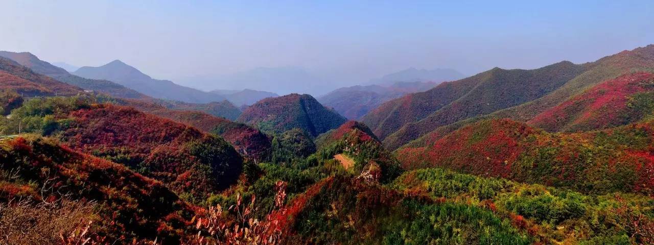 魅力渑池,《大象tv市集》开启暑假新模式!