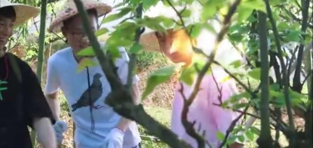 参加综艺节目的李诞,懒到最高境界,却为什么还