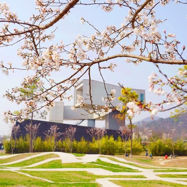 抖音和小红书里爆红的6家网红酒店,据说家家满