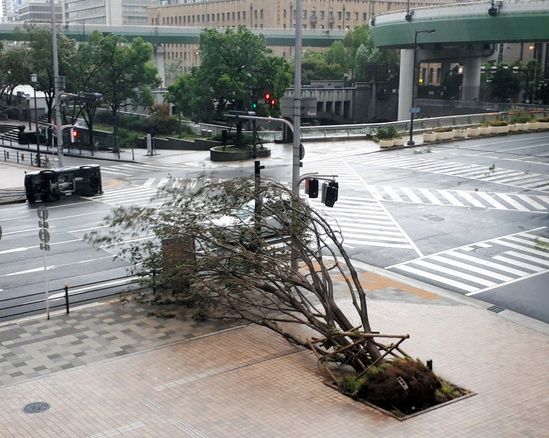 日本遭25年来最强台风袭击 大树汽车被掀翻