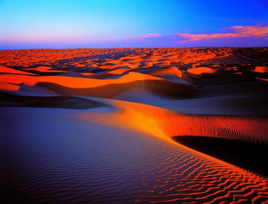 大片蚂蚁森林的小树成了沙漠景点,网友:真想去