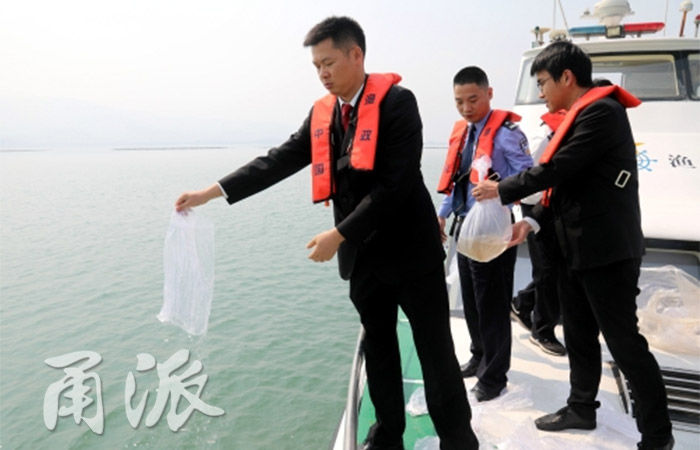 宁波首次!禁渔期违法偷捕,被罚放流500万尾对