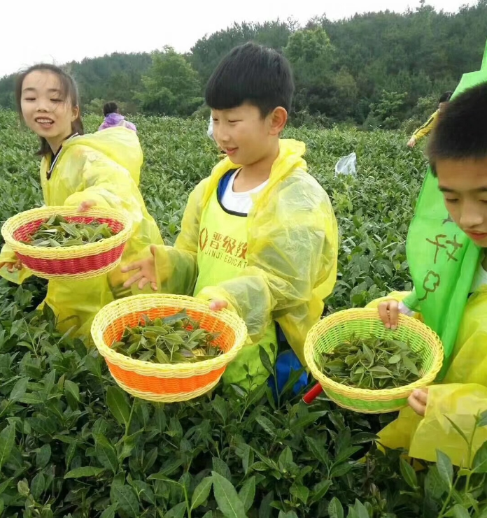 托管班名字应该如何取?有没有什么取名技巧呢