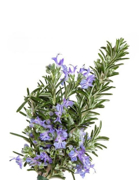 每天晚上睡不着怎么办?这几个小妙招快速帮你