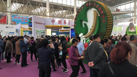 首届山东聊城(莘县)瓜菜菌博览会电商瓜果节盛