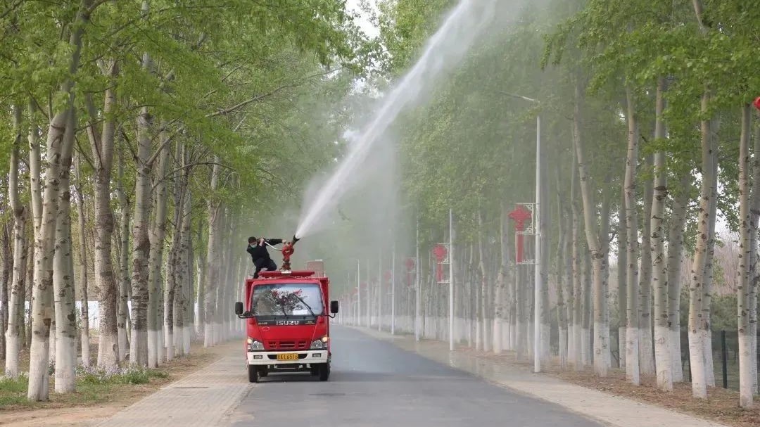 又到杨柳飞絮时！大兴区这样做——