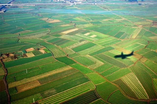 沧州农村宅基地、承包地确权发证时间定了!农